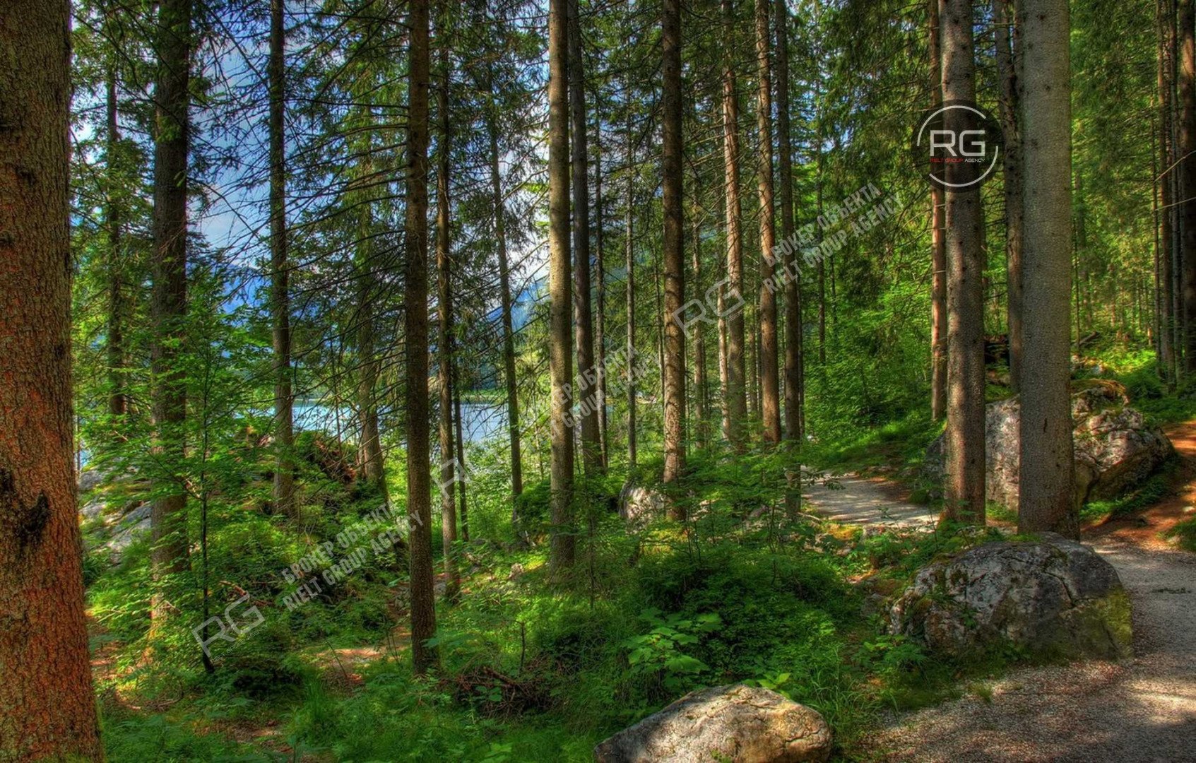   Кирпичный дом 685 м2, 685 кв.м. 