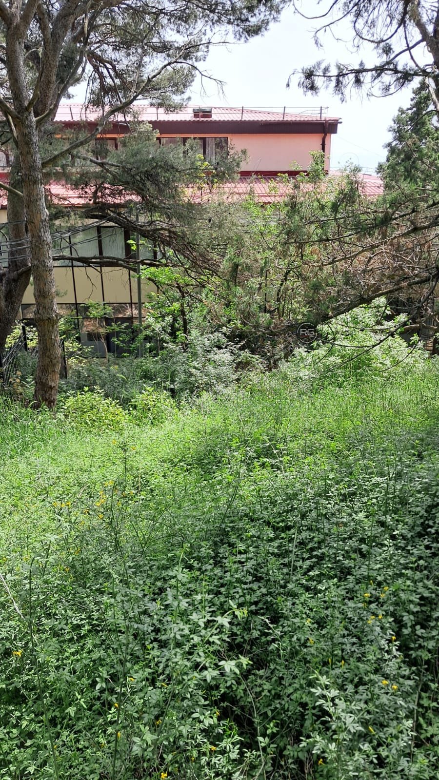  5 соток в Гаспре 