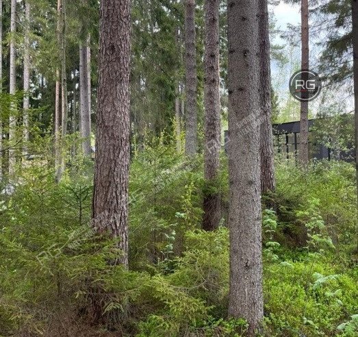   Коттедж в Рощино, 165м2, 165 кв.м. 