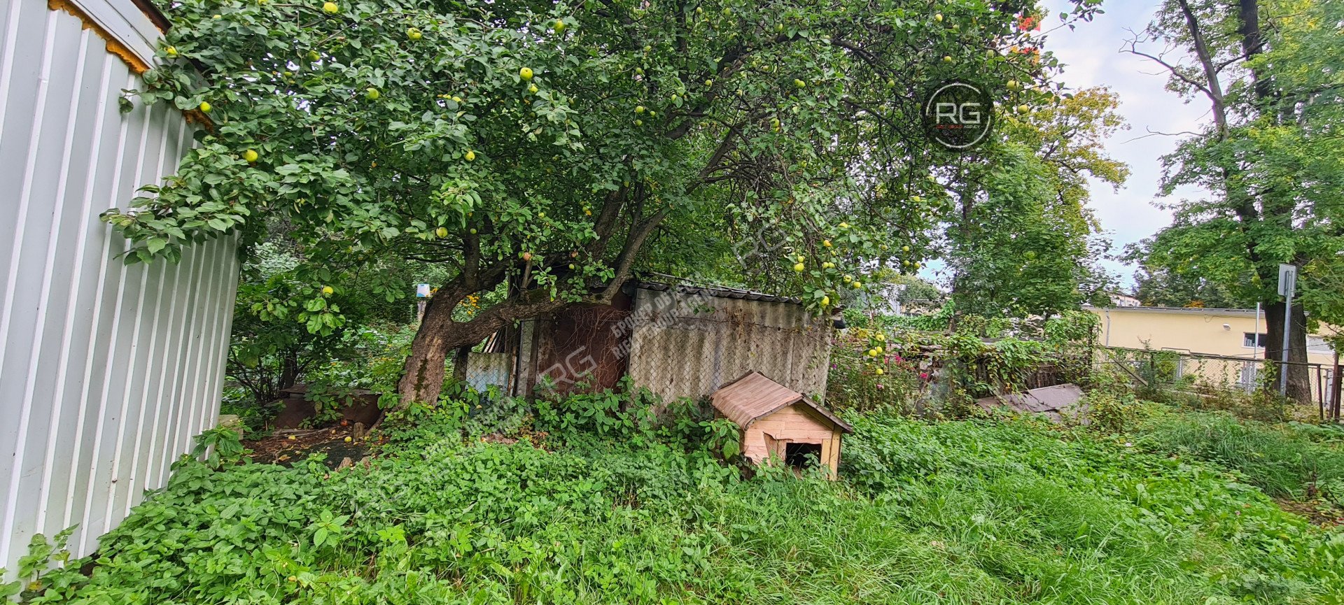   Квартира с участком, 53 кв.м. 